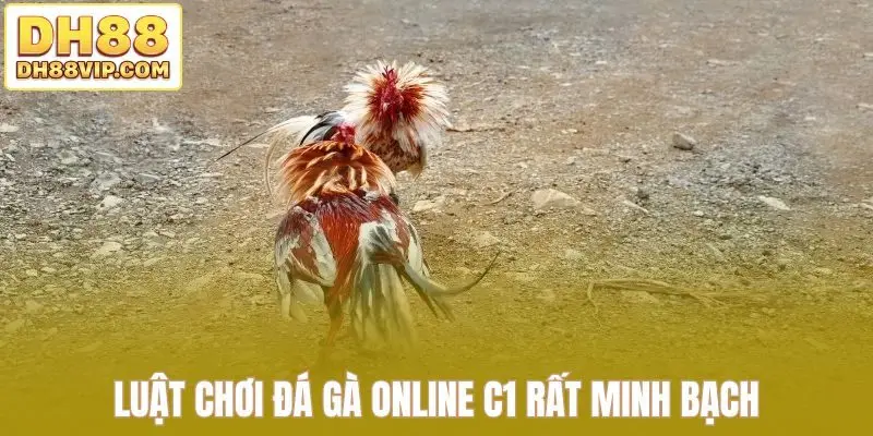 Luật chơi đá gà online C1 rất minh bạch